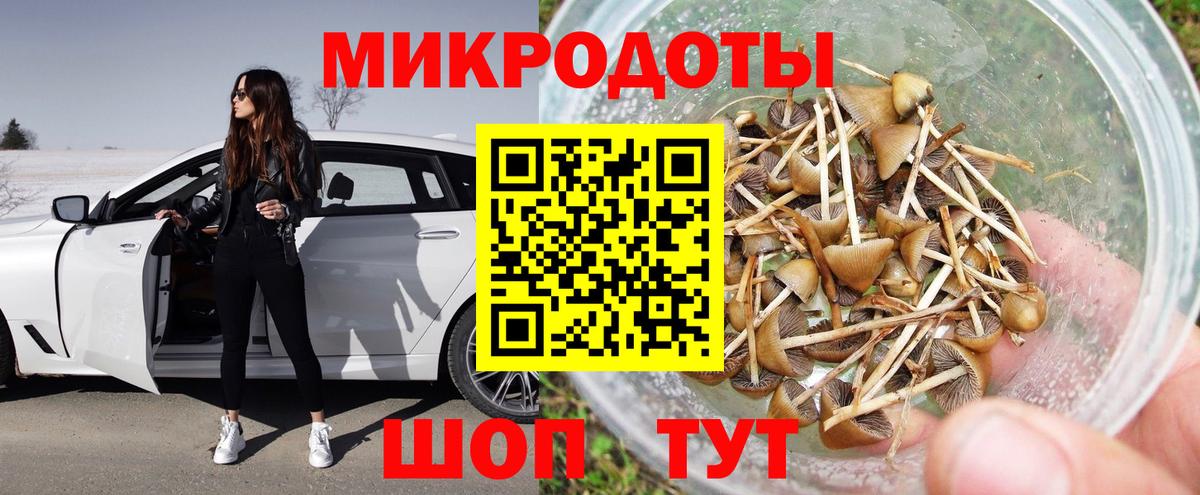 Галлюциногенные грибы Psilocybe Хасавюрт