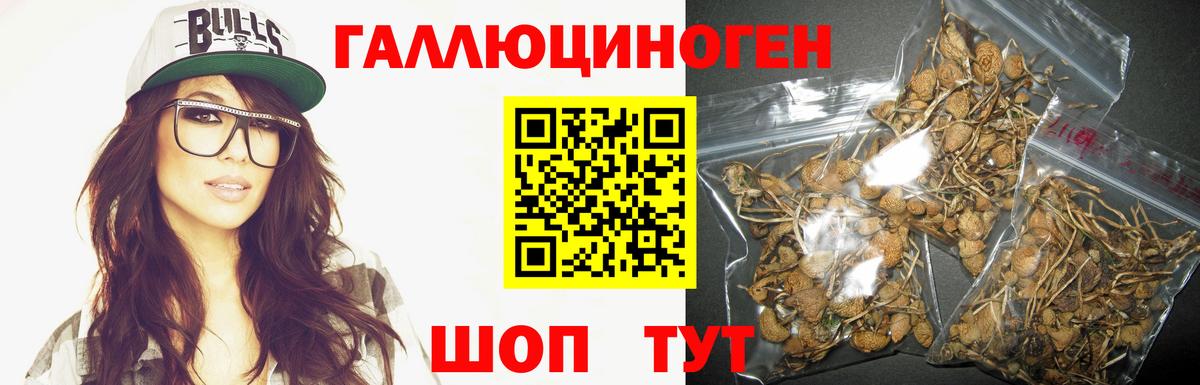 Хасавюрт  Псилоцибиновые грибы прущие грибы  даркнет сайт  Вход с VPN 